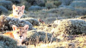 Se realizó premiación 9° Concurso de Fotografía de Conaf