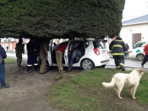 Una persona lesionada tras impacto de vehículo contra un árbol