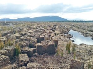 La turba: un recurso a la espera de esclarecer sus reglas