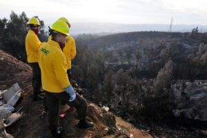 Conaf advierte sobre aumento de incendios forestales en los próximos meses