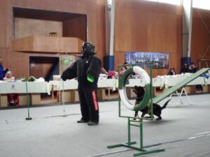 Canes de Gendarmería se robaron la película en séptima Plaza de Justicia