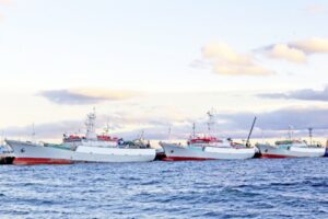 Globalpesca celebró sus  11 años