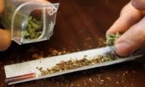 Sorprendido con marihuana  en tribunales