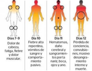 Seis mitos que debe conocer sobre el ébola