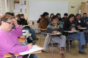 Consejo de la Cultura inició consulta indígena