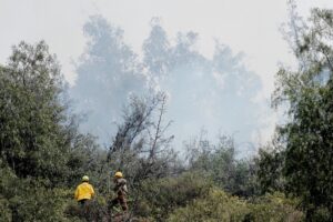 Bomberos y Conaf controlaron incendio en Parque Metropolitano