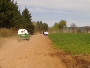 Un comunero mapuche murió atropellado por un inquilino durante la toma de un fundo en Galvarino