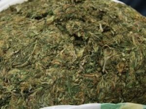 Detenido sujeto que almacenaba seis kilos de  marihuana