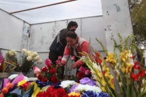 Con grandes expectativas, floristas comienzan a instalarse en Bulnes