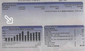 El 37,4% de los magallánicos no entienden las boletas de la luz