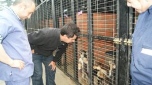 Adiestrador de perros: “Por un lado se necesita formación y por otro medidas y multas”