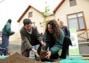Al menos 500 árboles contempla Plan de Arborización en el Centro Histórico de Punta Arenas