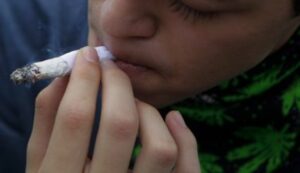 La despenalización de la marihuana  y sus usos terapéuticos
