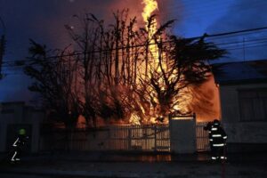 No se descarta intencionalidad en incendio de árboles en Cerro de la Cruz