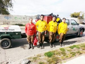 Incendios forestales: 80% se inició en Tierra del Fuego y Conaf inicia patrullajes en la isla