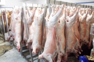 Asogama: entrada al mercado chino permitiría aumentar en más de 30% demanda de ovinos