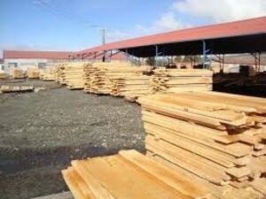 Agricultura prioriza apoyar al sector forestal y  dar facilidades a productores pequeños para que otorguen valor agregado a la madera nativa