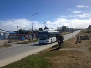 Bus de Movigas atropelló a un jóven esta tarde en Punta Arenas