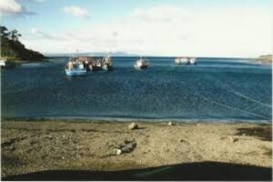 Pescador fue encontrado flotando sin vida en aguas de Bahía Mansa