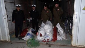 Gobernación Marítima incautó 262 kilos de centolla seccionada