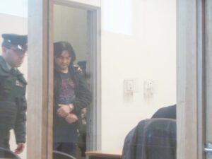 Formalizados por robar televisor desde  tienda y amenazar a carabineros con hacha