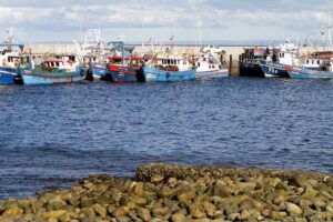 Pescadores lamentan prórroga para instalación de posicionadores satelitales