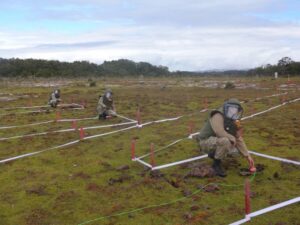 Armada cumple certificación de campo minado en isla Picton