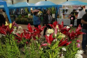 Se dio inicio oficial a la décimo quinta edición de la Expo Magallanes 2015