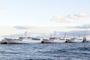 Operadores de bacalao advierten posibles despidos