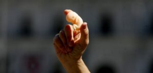 Minutas del Gobierno por aborto genera divisiones en el oficialismo y carreras de Medicina