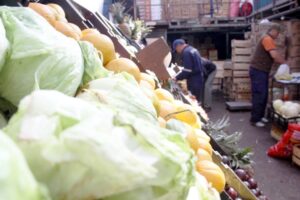 Magallanes produce menos del 30% de lo que consume  en hortalizas y frutas