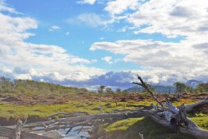 Revista francesa sitúa a la Patagonia chilena entre los 25 lugares imperdibles