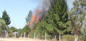 Recolectarán agua mineral para voluntarios que trabajan en incendio forestal en el Maule