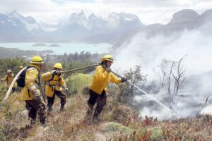 Magallanes es la segunda región con menos incendios forestales