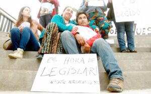 Tres casos de inviabilidad fetal se registraron en Magallanes en 2014