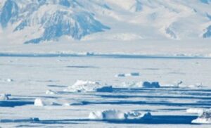 Armada llevará a 387 científicos a la Antártica para investigación