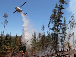 Gobierno sumará 14 aeronaves para combatir incendios forestales que afectan al país
