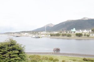 Hasta el miércoles Puerto Williams estará sin bencinas