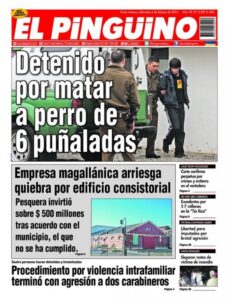 Indignación en redes sociales por asesinato de perro en Punta Arenas