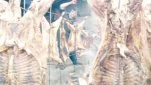 Gran expectación en torno al Asado más grande de Tierra del Fuego