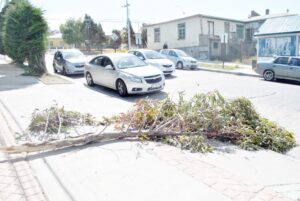 El viento hace su arremetida en Punta Arenas