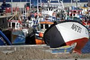 Pescadores artesanales deberán contar con seguro de vida para  extraer recursos del mar