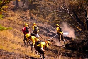 CONAF conmemora en Magallanes Día del Brigadista Forestal