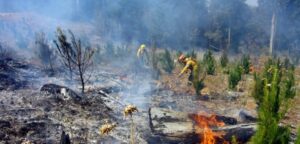Decretan Alerta Sanitaria en Puerto Montt por contaminación de incendios forestales
