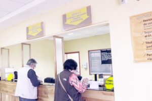 Más de 44 mil vehículos deberán renovar permisos de circulación en Punta Arenas