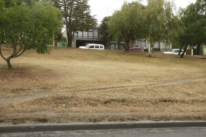 Verano con pocas lluvias provoca sequedad en parques y áreas verdes de Magallanes