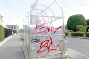 La belleza arrebatada de los paraderos de Punta Arenas