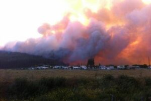 Incendio forestal en Laraquete continúa activo y ha consumido cerca de 1.300 hectáreas