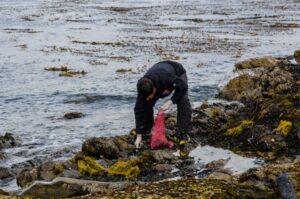 El beneficio que significa la apertura de zonas de extracción de mariscos