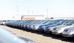 Más de 40 mil permisos de circulación aún no se han renovado en la capital magallánica